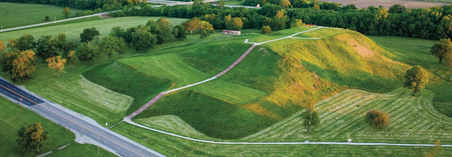 Bird&apos;s eye view of lush, green landscape